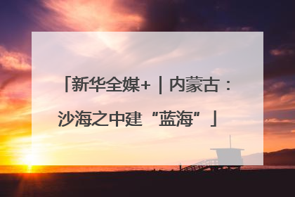 新华全媒+｜内蒙古：沙海之中建“蓝海”