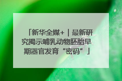 新华全媒+｜最新研究揭示哺乳动物胚胎早期器官发育“密码”