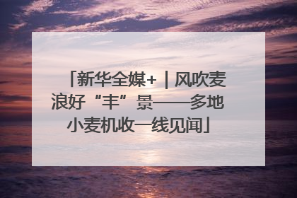 新华全媒+｜风吹麦浪好“丰”景——多地小麦机收一线见闻