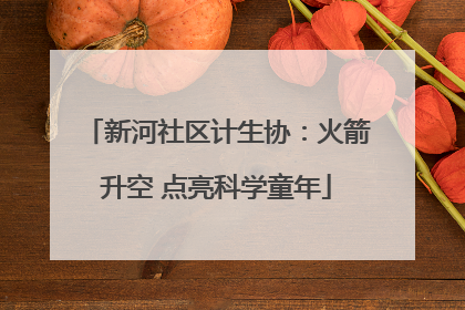 新河社区计生协：火箭升空 点亮科学童年