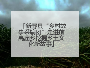 新野县“乡村故事采编团”走进前高庙乡挖掘乡土文化新故事