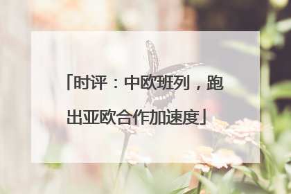时评：中欧班列，跑出亚欧合作加速度