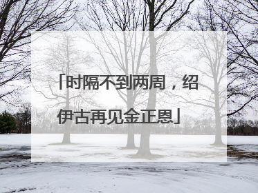 时隔不到两周，绍伊古再见金正恩