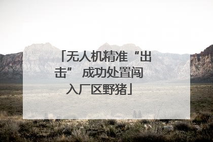 无人机精准“出击” 成功处置闯入厂区野猪