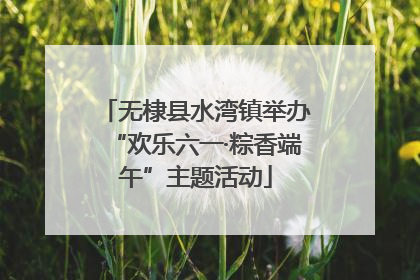 无棣县水湾镇举办“欢乐六一·粽香端午”主题活动