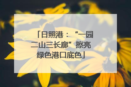 日照港：“一园二山三长廊”擦亮绿色港口底色