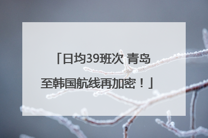 日均39班次 青岛至韩国航线再加密！
