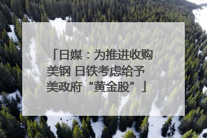 日媒：为推进收购美钢 日铁考虑给予美政府“黄金股”