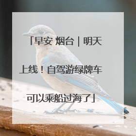 早安 烟台｜明天上线！自驾游绿牌车可以乘船过海了