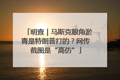 明查｜马斯克眼角淤青是特朗普打的？网传截图是“高仿”