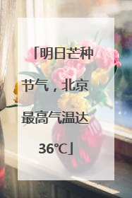 明日芒种节气，北京最高气温达36℃