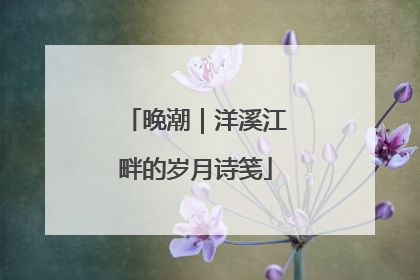 晚潮｜洋溪江畔的岁月诗笺