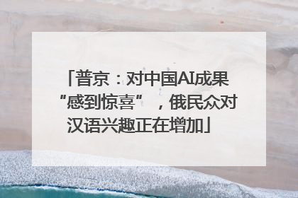普京：对中国AI成果“感到惊喜”，俄民众对汉语兴趣正在增加