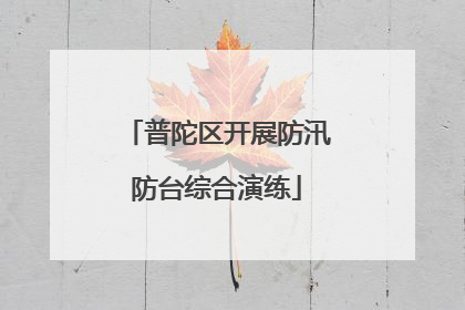 普陀区开展防汛防台综合演练