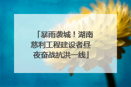 暴雨袭城！湖南慈利工程建设者昼夜奋战抗洪一线