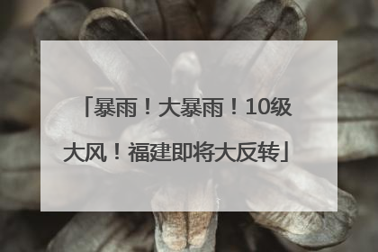 暴雨！大暴雨！10级大风！福建即将大反转