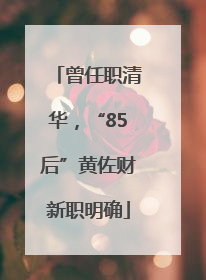 曾任职清华，“85后”黄佐财新职明确