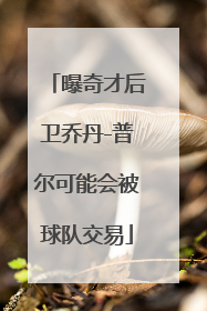 曝奇才后卫乔丹-普尔可能会被球队交易