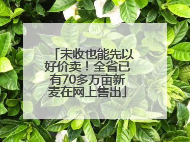 未收也能先以好价卖！全省已有70多万亩新麦在网上售出