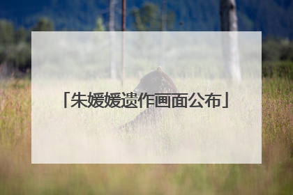 朱媛媛遗作画面公布