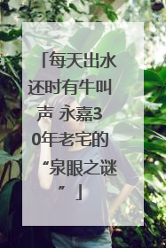 每天出水还时有牛叫声 永嘉30年老宅的“泉眼之谜”
