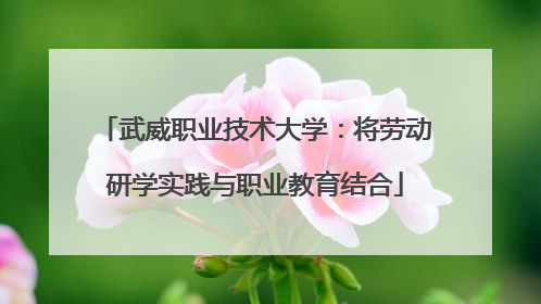 武威职业技术大学：将劳动研学实践与职业教育结合