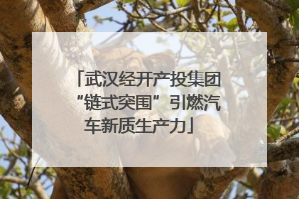 武汉经开产投集团“链式突围”引燃汽车新质生产力