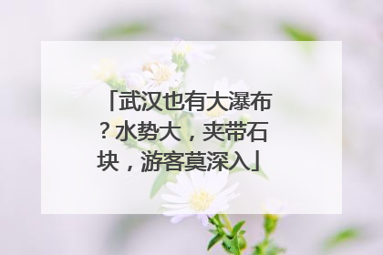 武汉也有大瀑布？水势大，夹带石块，游客莫深入