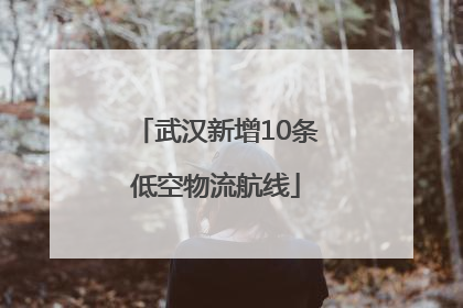 武汉新增10条低空物流航线