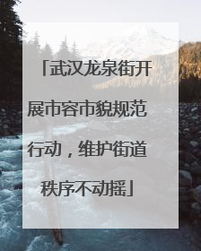 武汉龙泉街开展市容市貌规范行动，维护街道秩序不动摇