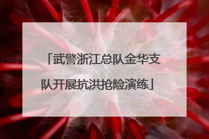 武警浙江总队金华支队开展抗洪抢险演练