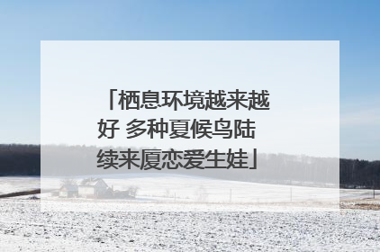栖息环境越来越好 多种夏候鸟陆续来厦恋爱生娃