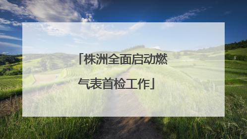 株洲全面启动燃气表首检工作
