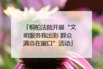 桐柏法院开展“文明服务我出彩 群众满意在窗口”活动