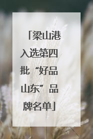 梁山港入选第四批“好品山东”品牌名单
