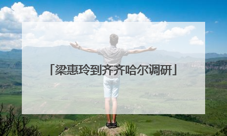 梁惠玲到齐齐哈尔调研
