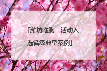 潍坊临朐一活动入选省级典型案例