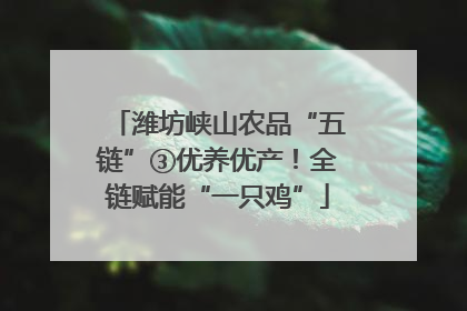 潍坊峡山农品“五链”③优养优产！全链赋能“一只鸡”