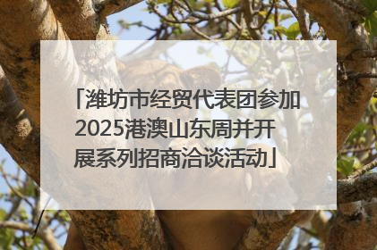 潍坊市经贸代表团参加2025港澳山东周并开展系列招商洽谈活动