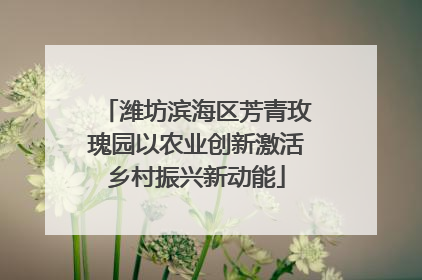 潍坊滨海区芳青玫瑰园以农业创新激活乡村振兴新动能