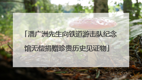 潘广洲先生向铁道游击队纪念馆无偿捐赠珍贵历史见证物