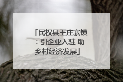 民权县王庄寨镇：引企业入驻 助乡村经济发展