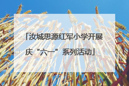 汝城思源红军小学开展庆“六一”系列活动