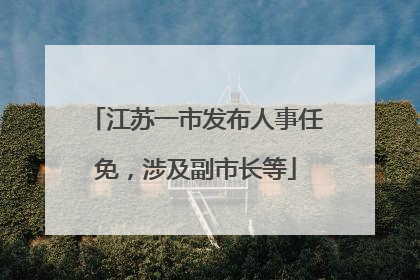 江苏一市发布人事任免，涉及副市长等