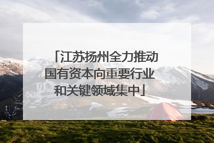 江苏扬州全力推动国有资本向重要行业和关键领域集中