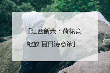 江西新余：荷花竞绽放 夏日诗意浓