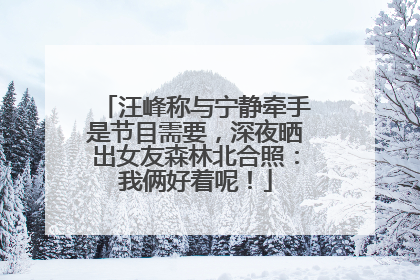 汪峰称与宁静牵手是节目需要，深夜晒出女友森林北合照：我俩好着呢！