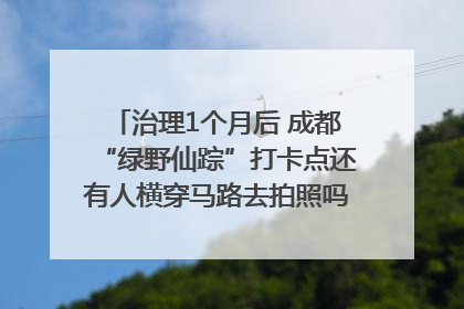 治理1个月后 成都“绿野仙踪”打卡点还有人横穿马路去拍照吗？｜民情瞭望
