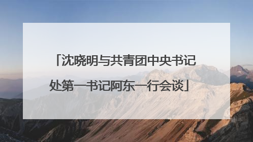 沈晓明与共青团中央书记处第一书记阿东一行会谈