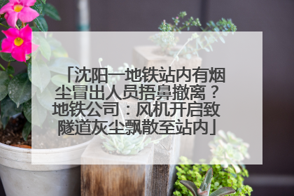 沈阳一地铁站内有烟尘冒出人员捂鼻撤离？地铁公司：风机开启致隧道灰尘飘散至站内